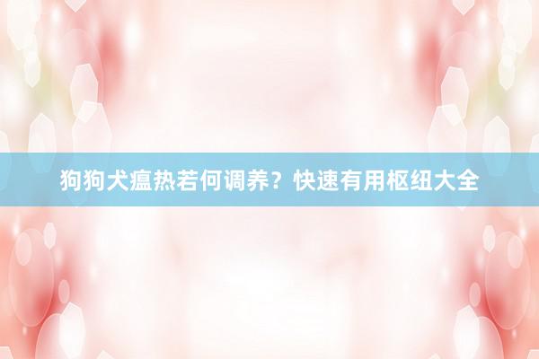 狗狗犬瘟热若何调养？快速有用枢纽大全